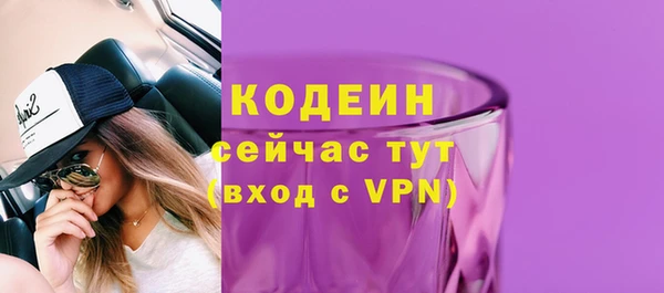 трава Арсеньев