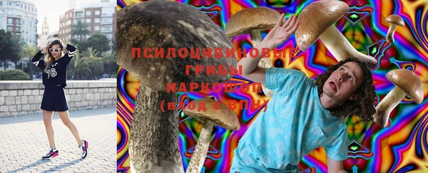 соль ск Аркадак