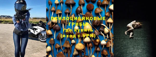 трава Арсеньев