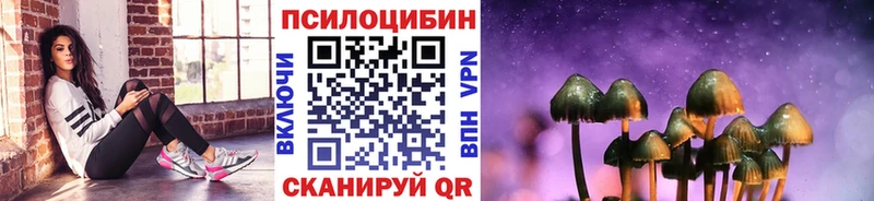 маркетплейс телеграм  Мурманск  Псилоцибиновые грибы прущие грибы 